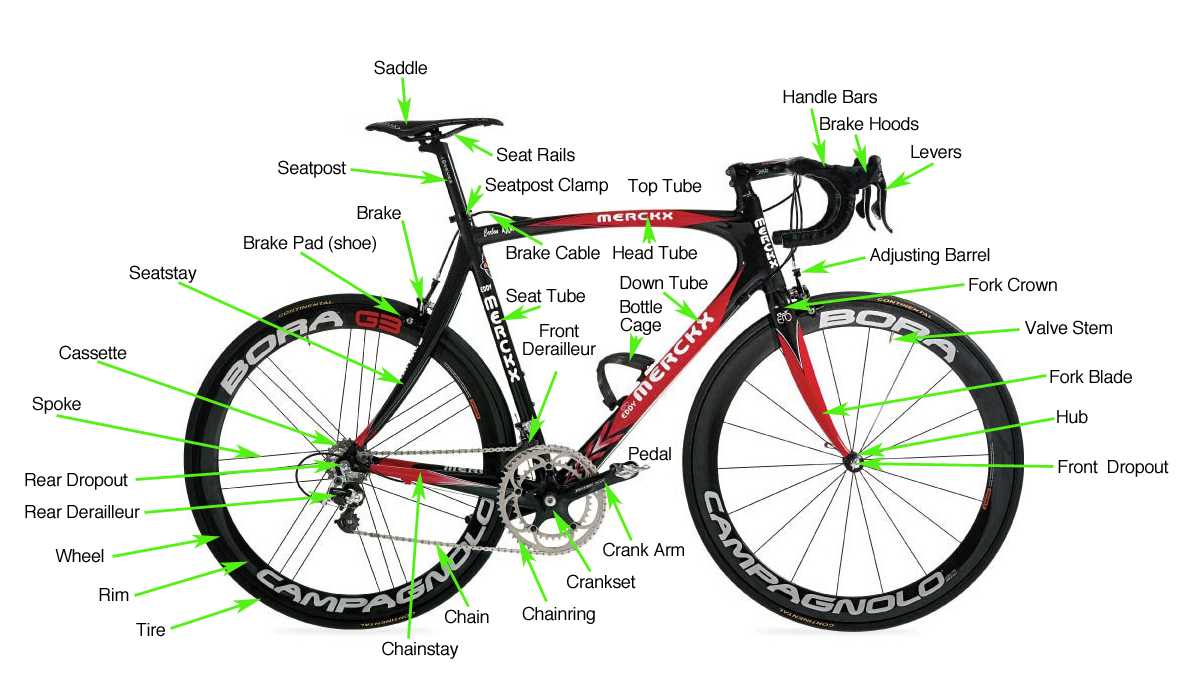 10 speed bike parts diagram