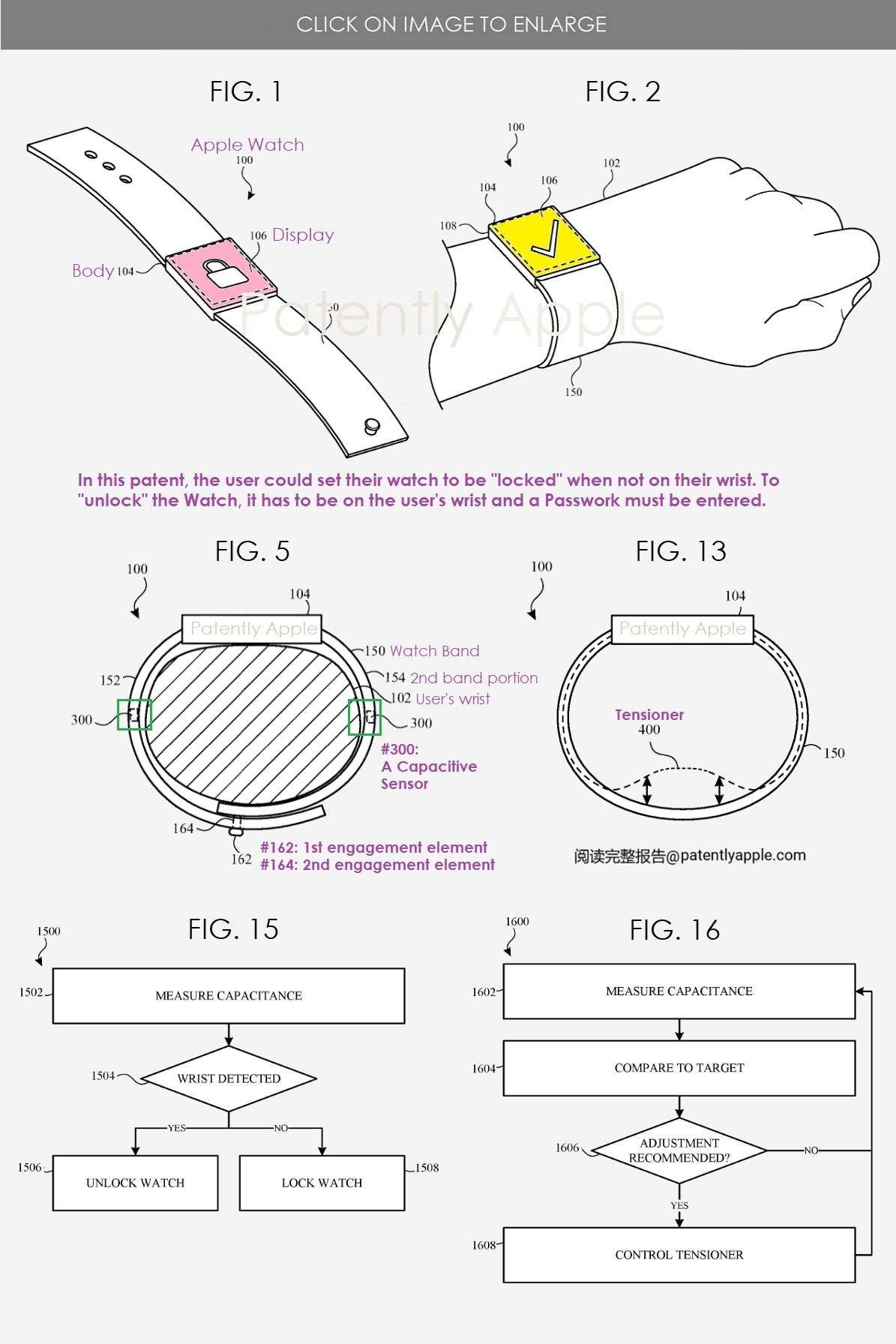 apple watch parts diagram