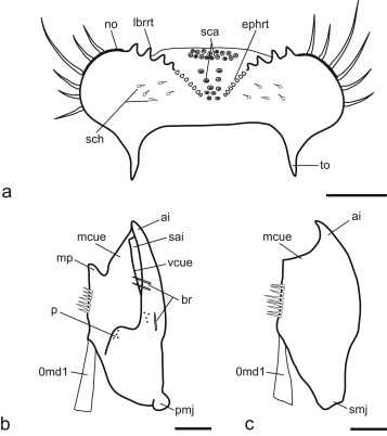 ithaca m49 parts diagram