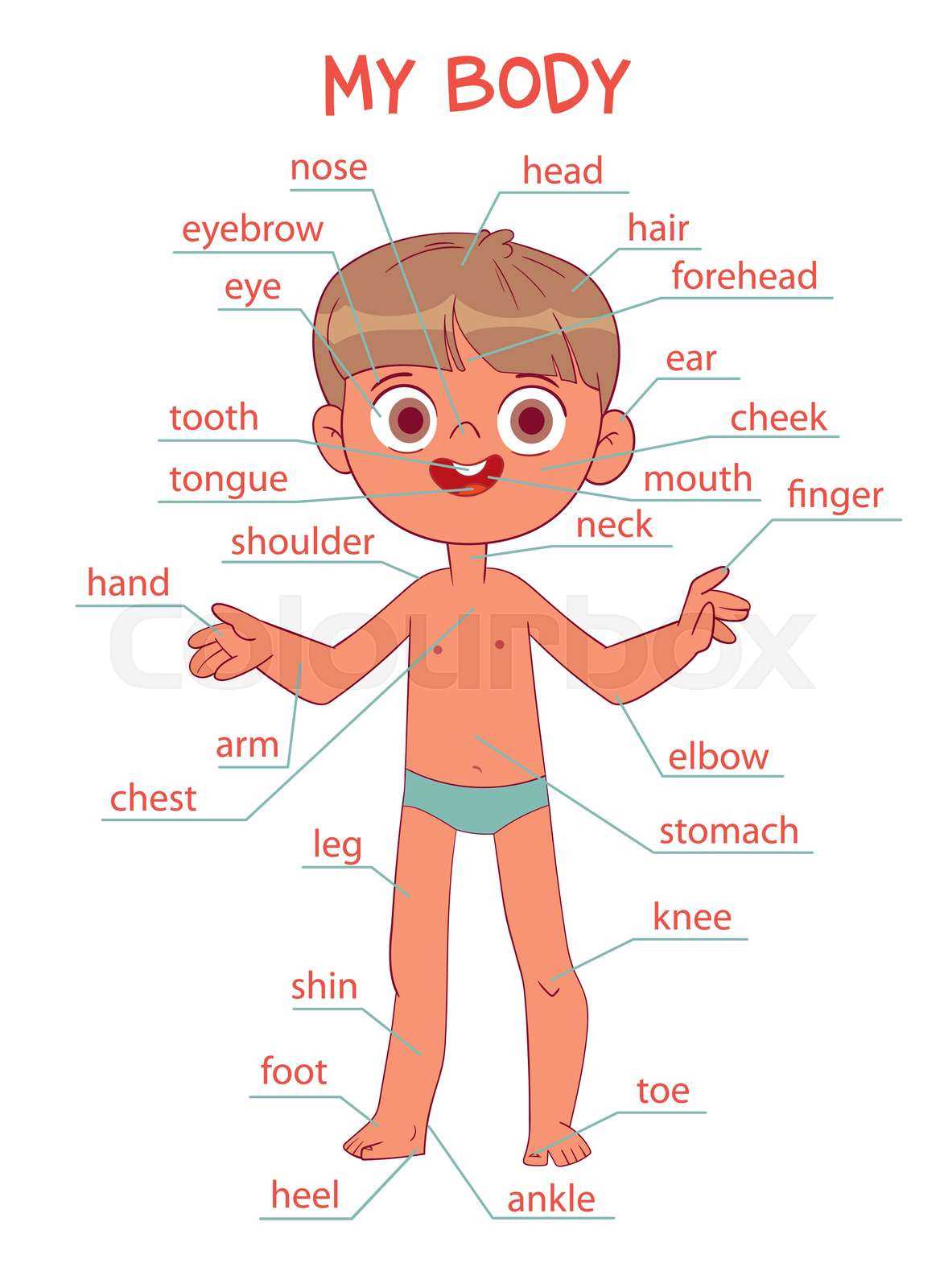 parts of body with diagram