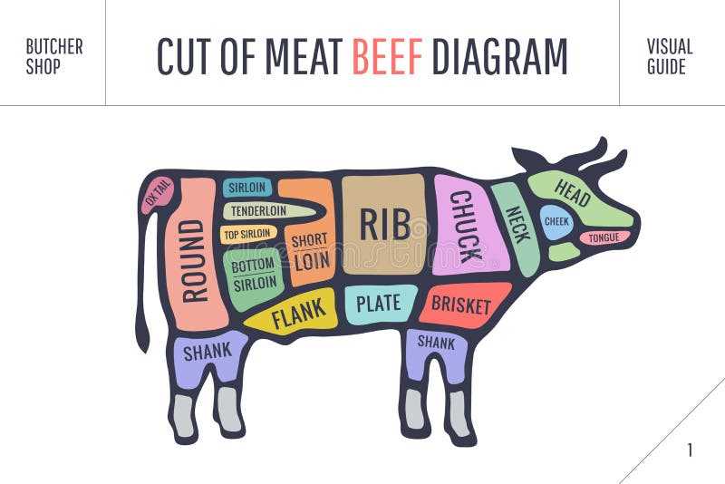 parts of cow diagram