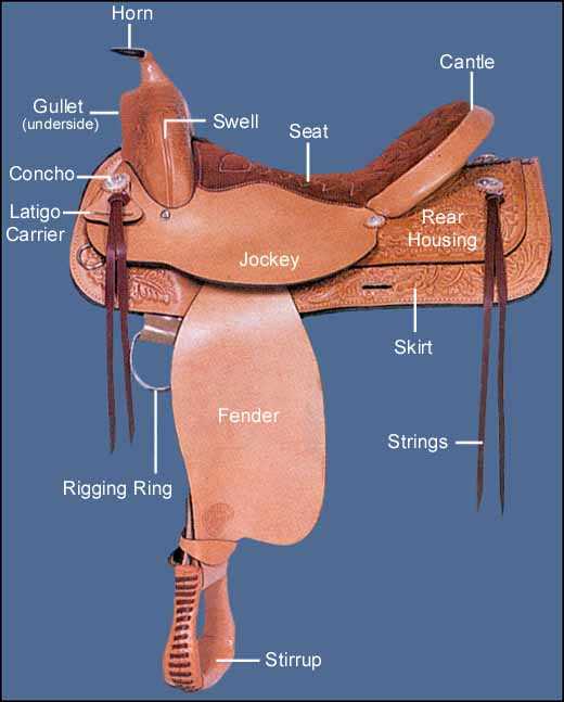 saddle parts western diagram