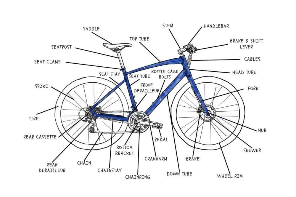 bike parts diagram detailed