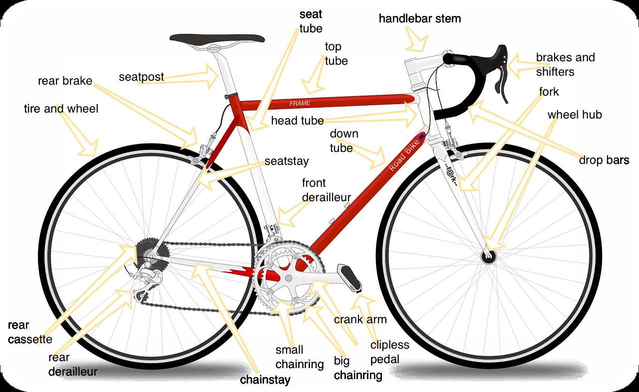 bike parts diagram detailed