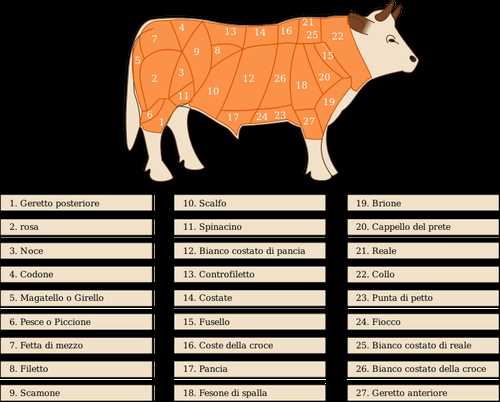 parts of cow diagram