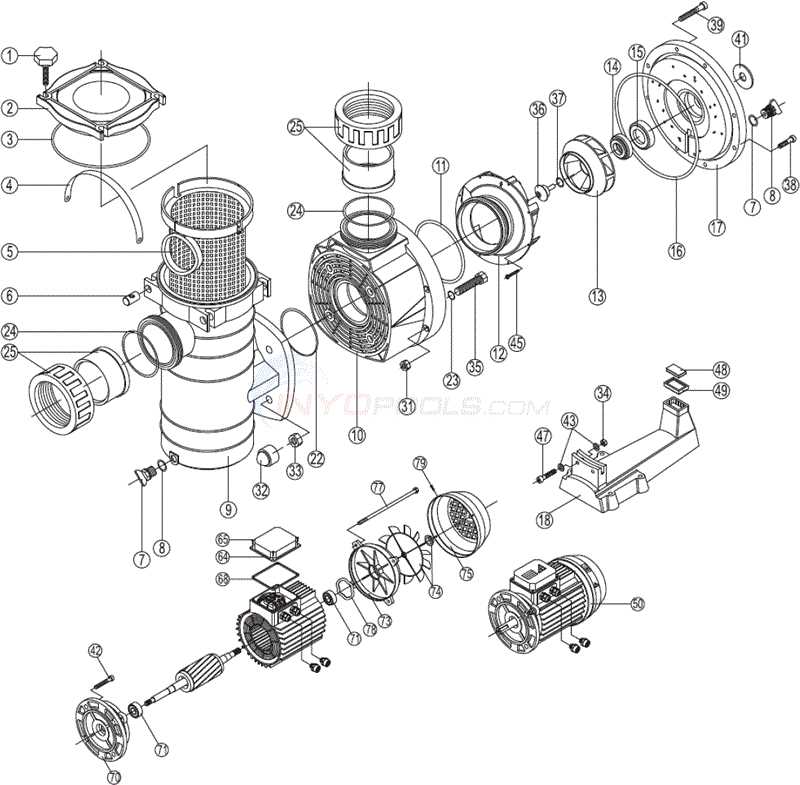 everbilt pump parts diagram