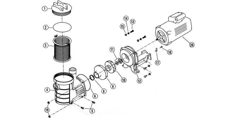 everbilt pump parts diagram