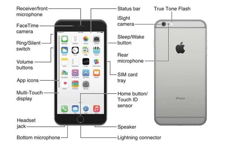 iphone 6s diagram of parts