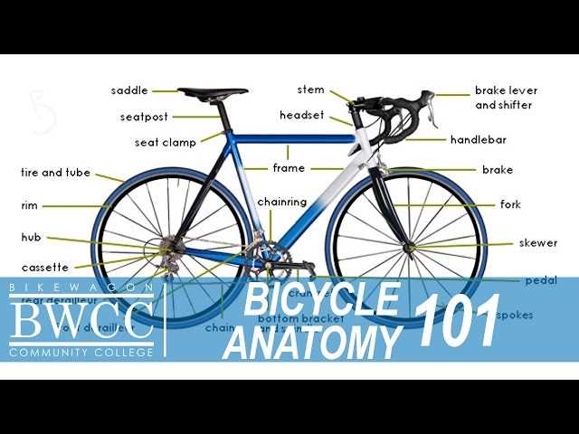 bike parts diagram detailed