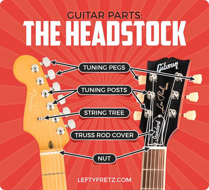 guitar neck parts diagram