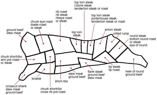 parts of cow diagram