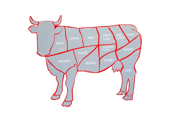 parts of cow diagram