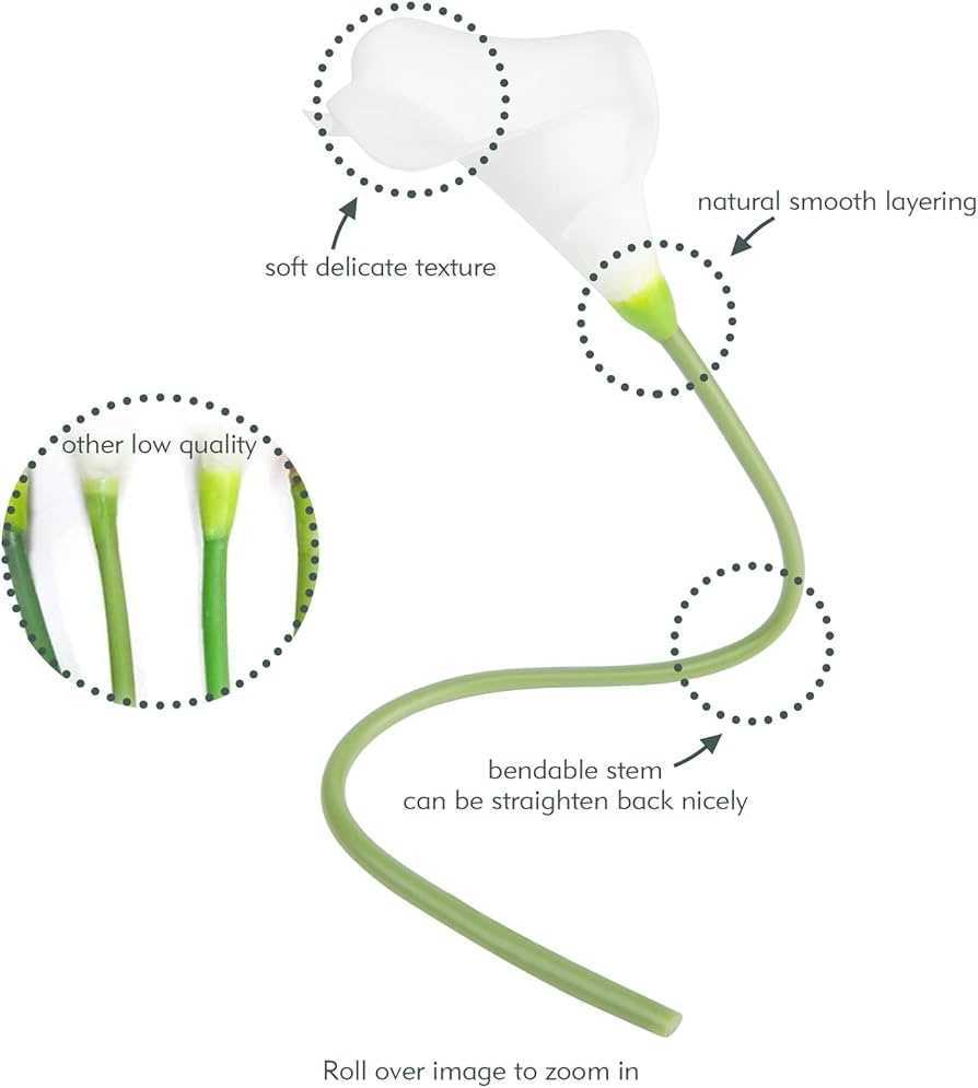 parts of a calla lily diagram