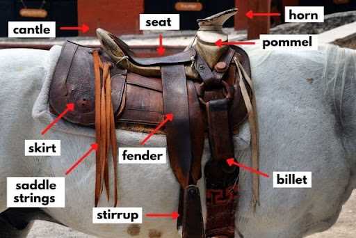 saddle parts western diagram