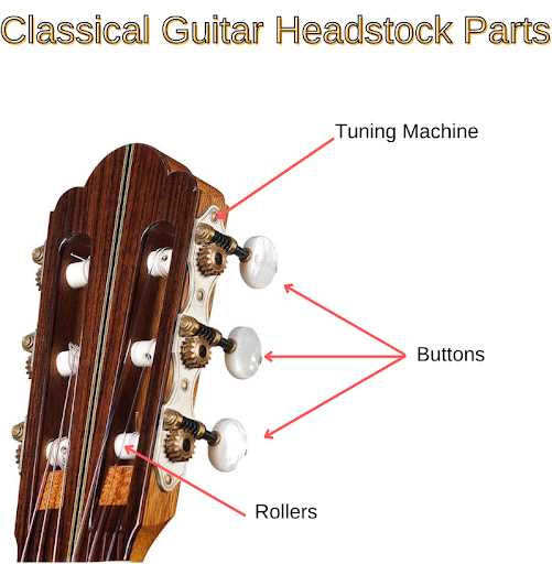 les paul guitar parts diagram