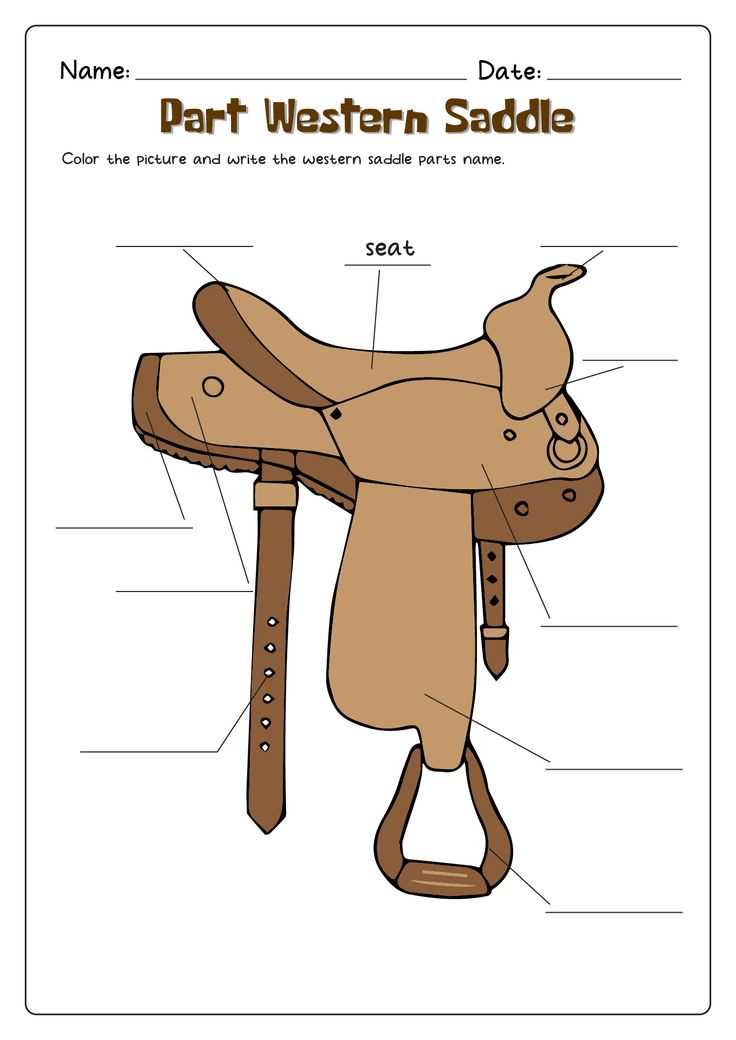 parts of western saddle diagram