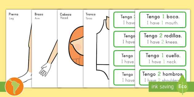 latin body parts diagram