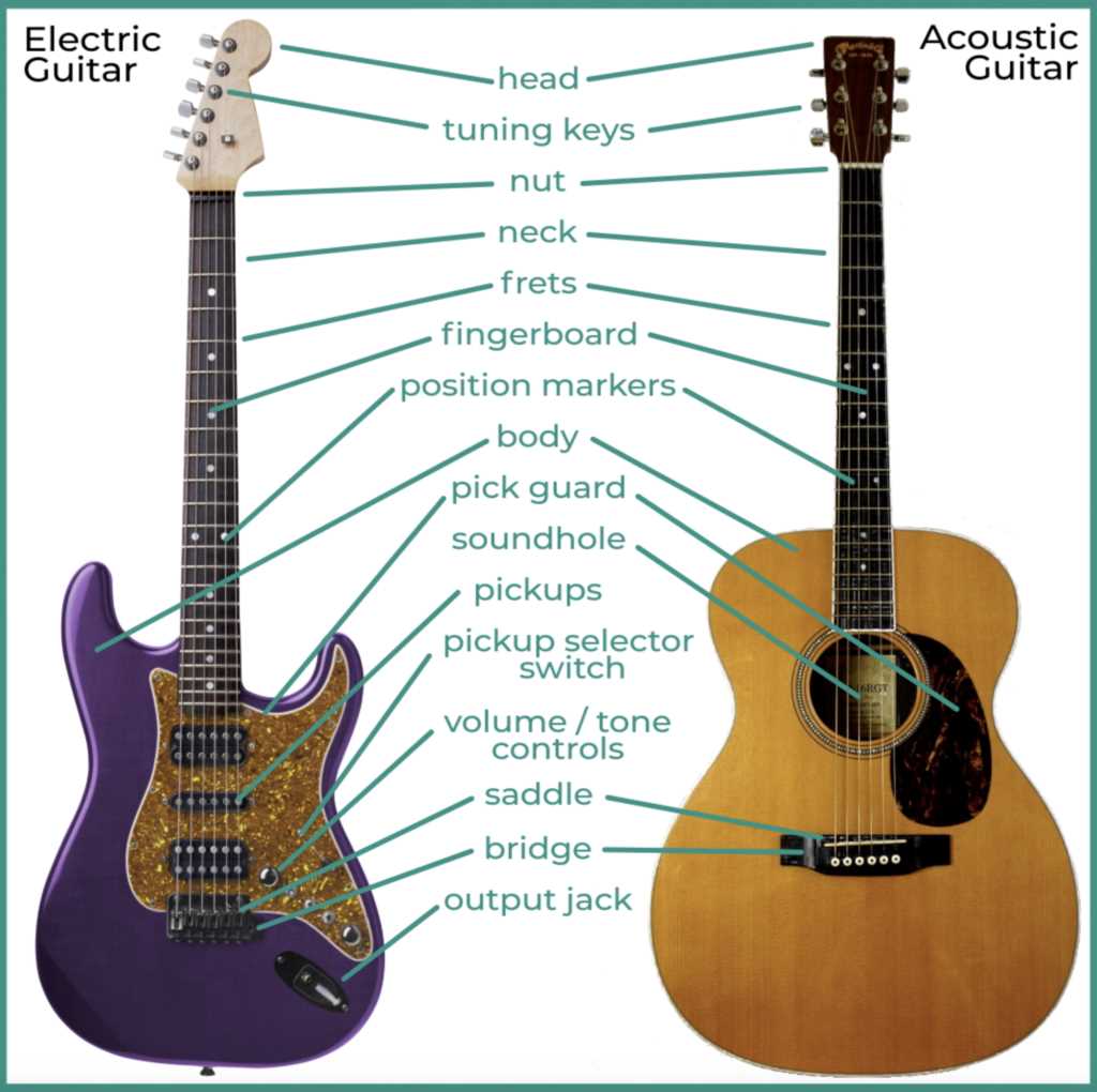 les paul guitar parts diagram