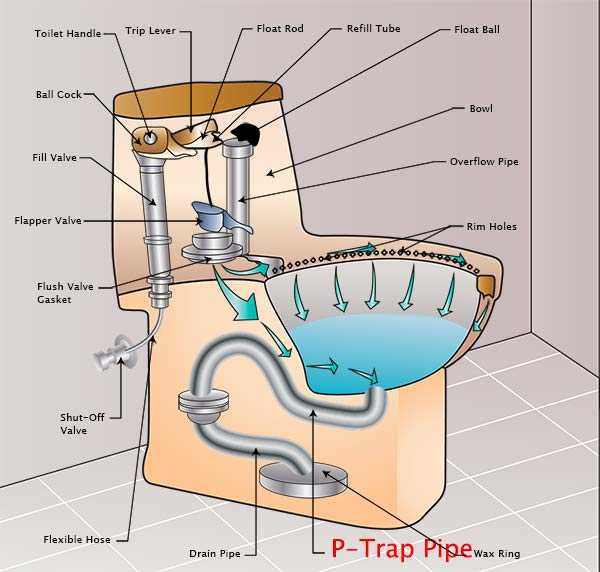 p trap parts diagram