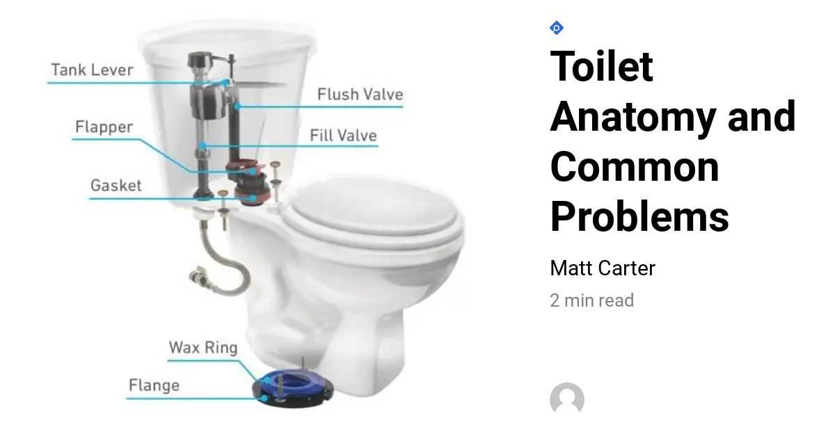 parts of a toilet diagram