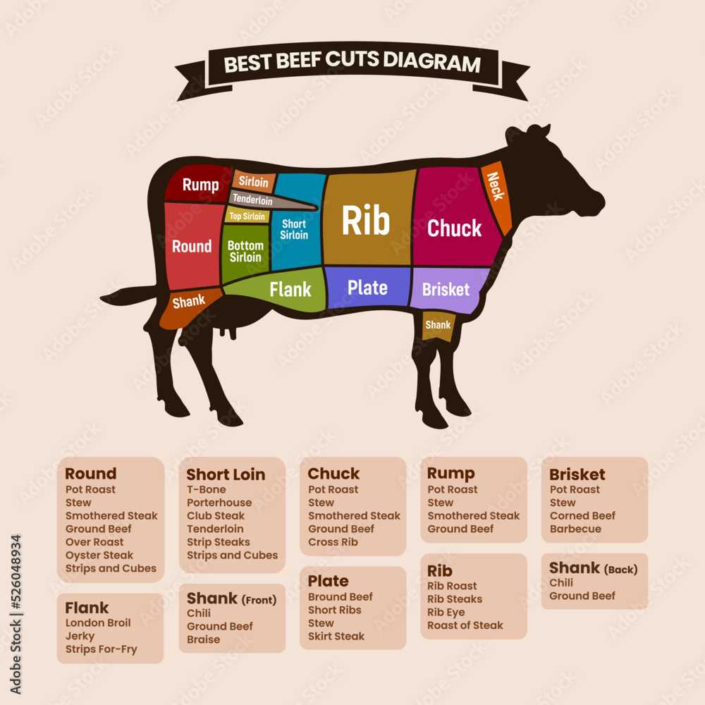 parts of cow diagram