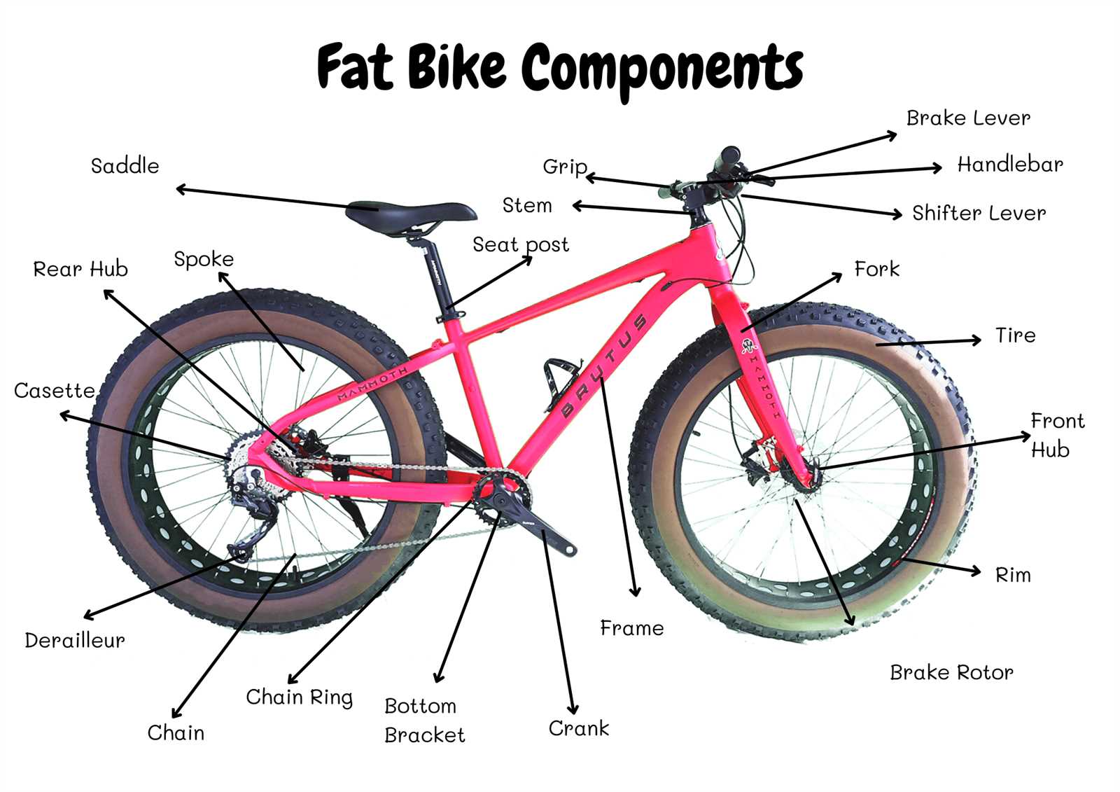 parts of mountain bike diagram