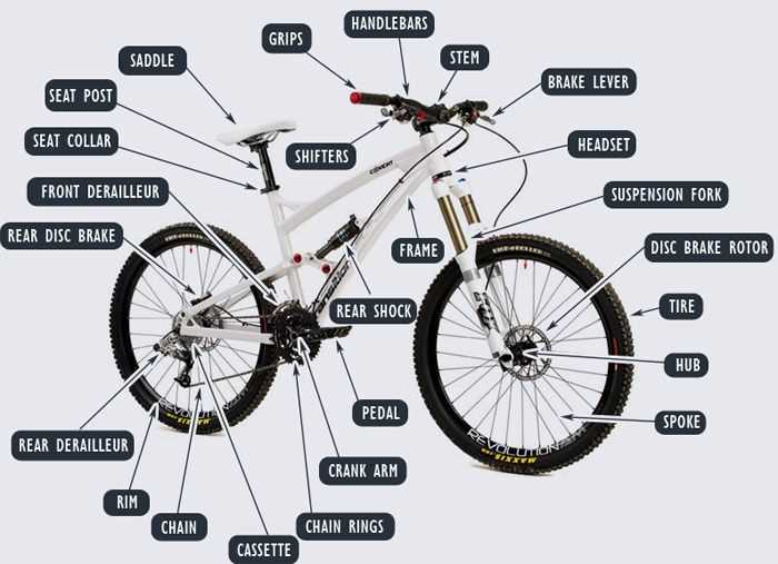 parts of mountain bike diagram