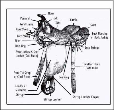 parts of western saddle diagram