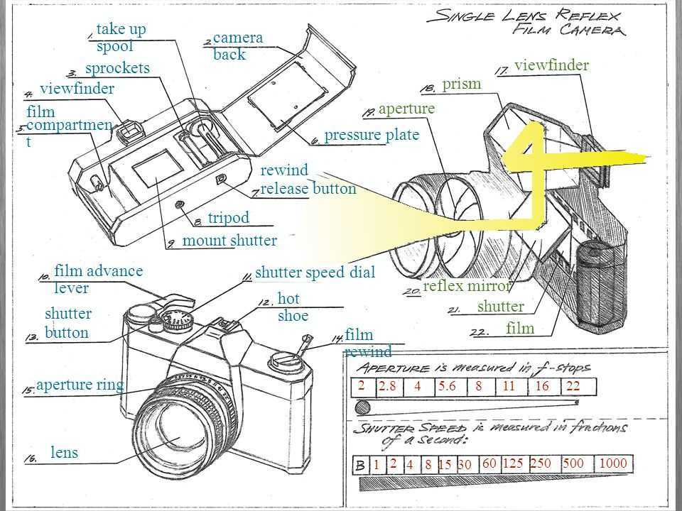 parts of a film camera diagram