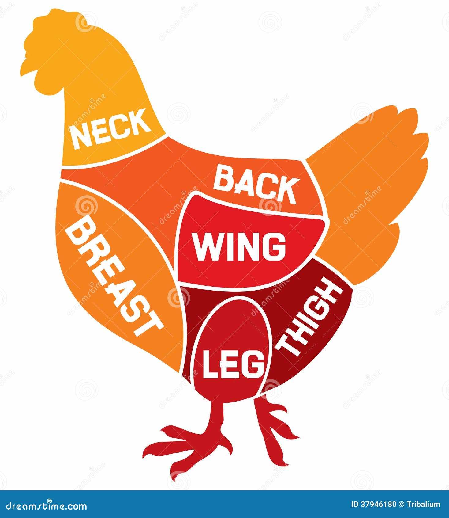 chicken parts diagram