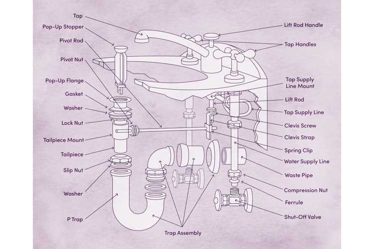 p trap parts diagram