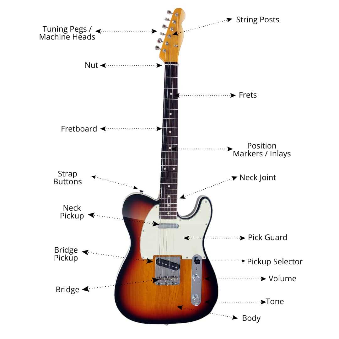 guitar parts diagram