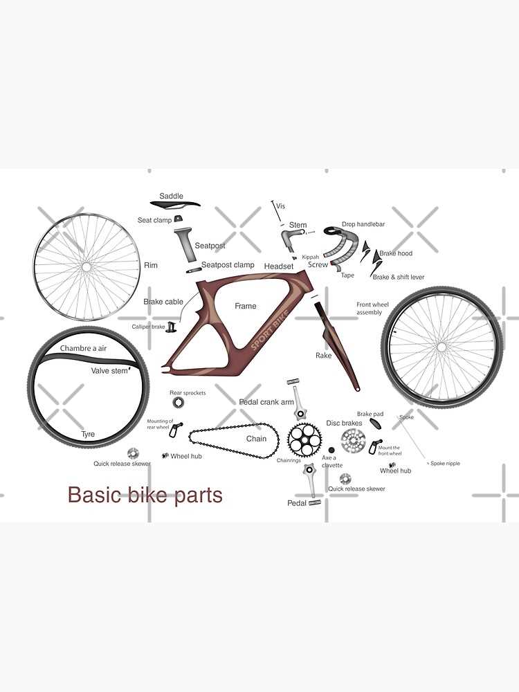 cruiser bike parts diagram